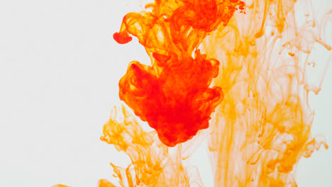 Orange-Paint-Or-Dye-Dropped-Into-Water-Against-White-Background-To-Create-Swirling-Colourful-Smoke-Background-7